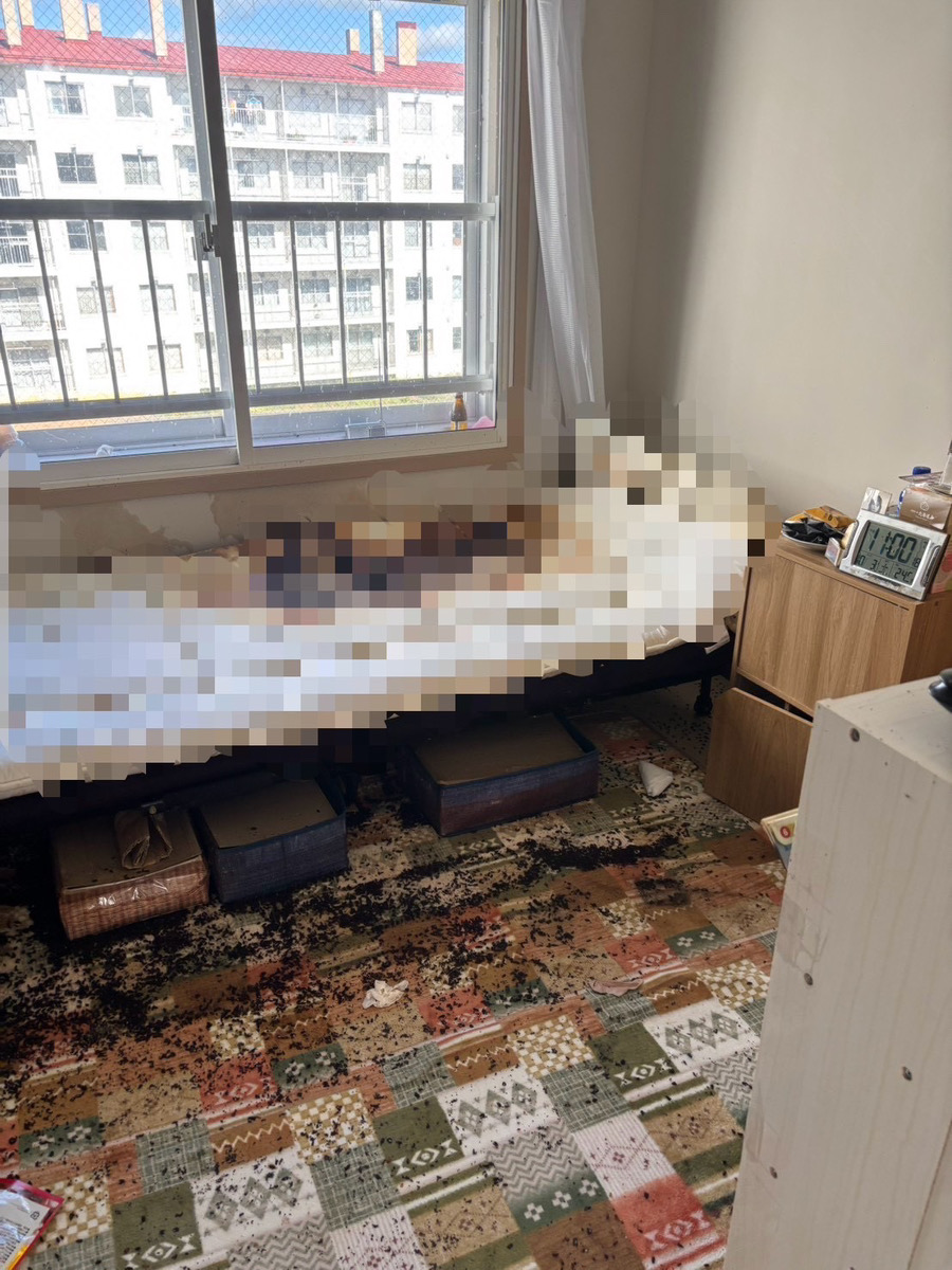 BEFORE